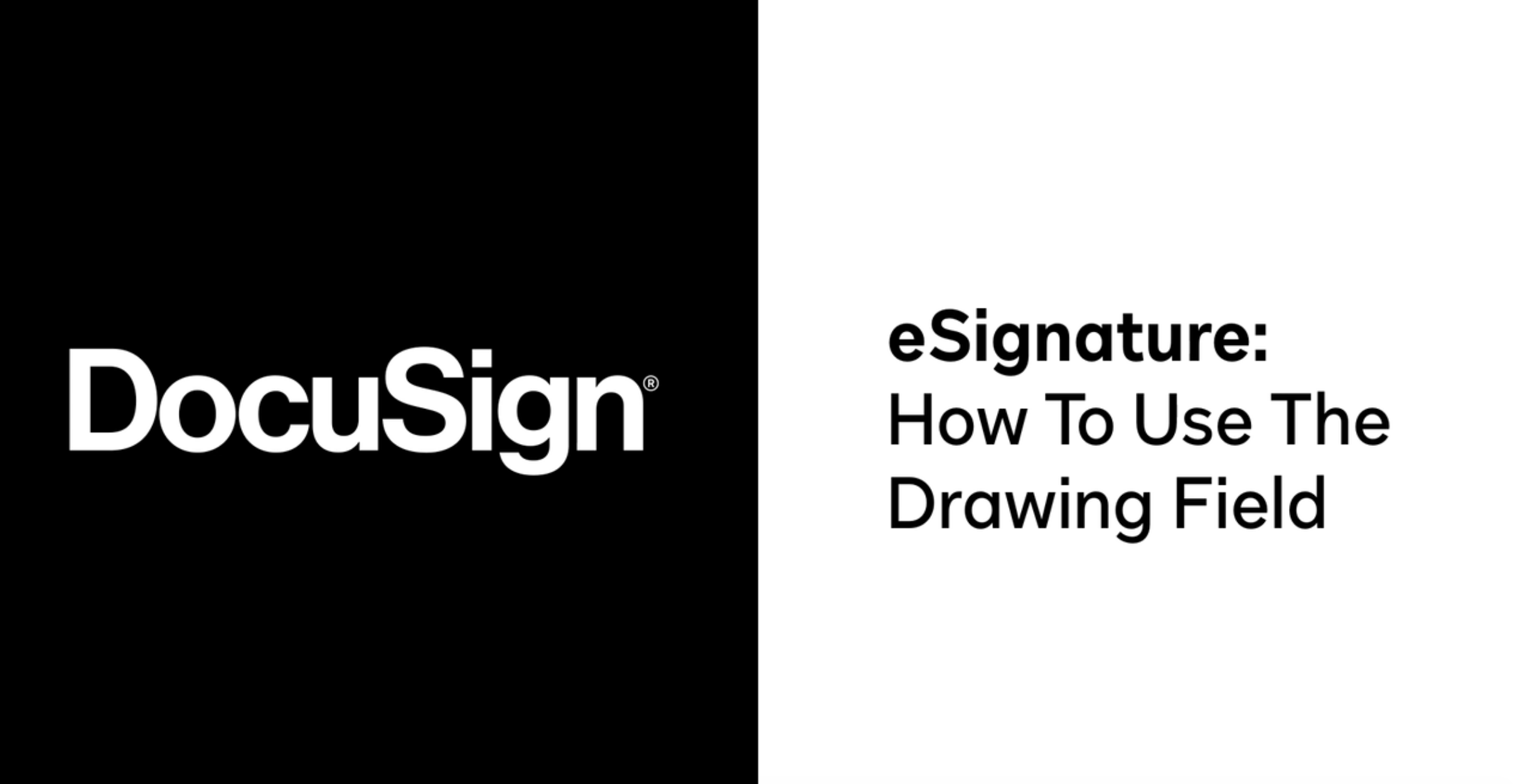 How to Use the Drawing Field